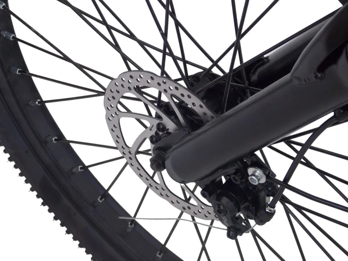 Cargo Rodado 24 - Imagen 5