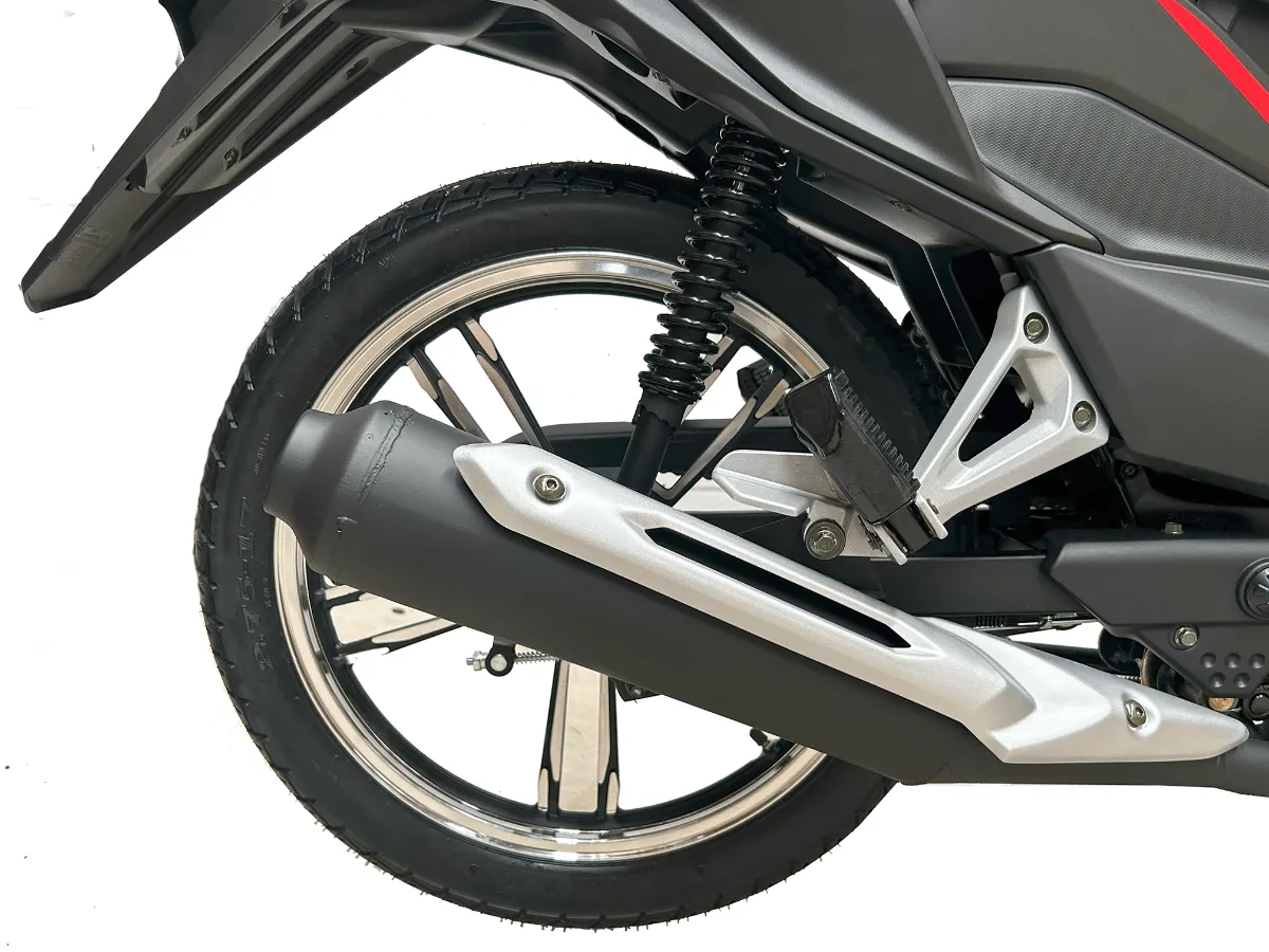 REIZ 125 - Imagen 3